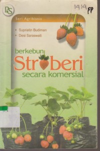 Image of BERKEBUN STROBERI SECARA KOMERSIAL