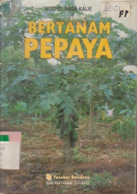 Image of BERTANAM PEPAYA