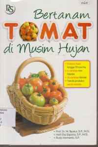 Image of BERTANAM TOMAT DI MUSIM HUJAN