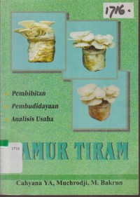 Image of JAMUR TIRAM