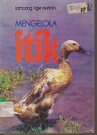 Image of MENGELOLA ITIK