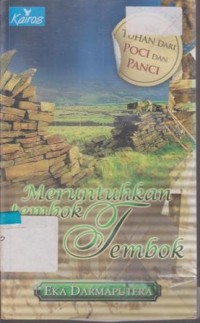 Image of MERUNTUHKAN TEMBOK TEMBOK (NOFEL)
